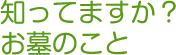 和墓・洋墓・オリジナル墓までさまざまです。